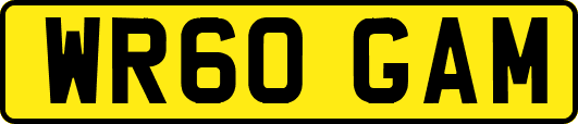 WR60GAM