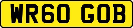 WR60GOB