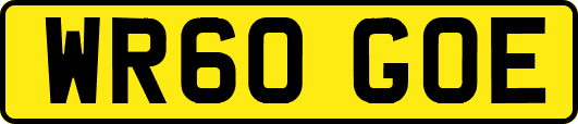 WR60GOE
