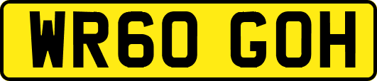 WR60GOH