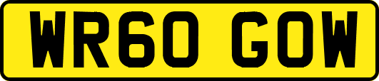 WR60GOW