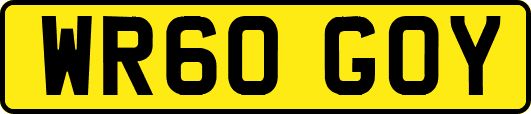 WR60GOY