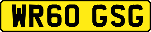WR60GSG