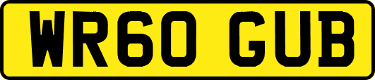 WR60GUB