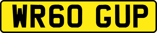 WR60GUP