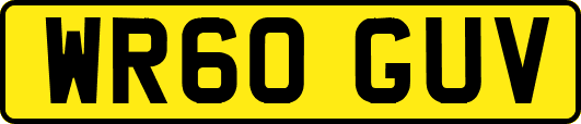 WR60GUV