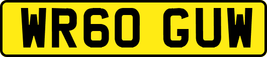 WR60GUW