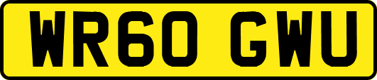 WR60GWU