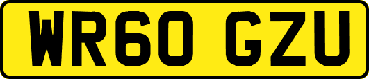 WR60GZU