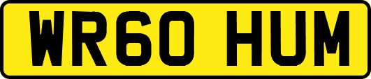 WR60HUM