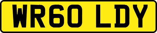 WR60LDY