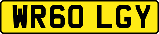 WR60LGY