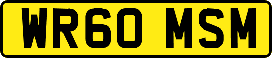 WR60MSM