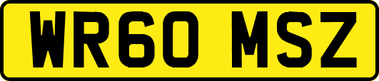 WR60MSZ