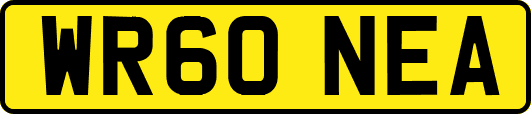 WR60NEA