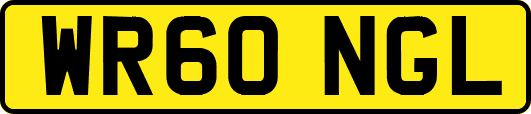 WR60NGL