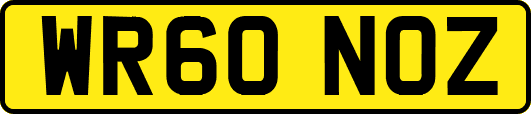 WR60NOZ