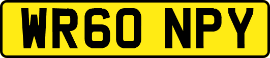 WR60NPY