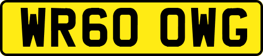 WR60OWG