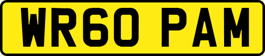 WR60PAM