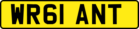 WR61ANT