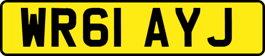 WR61AYJ