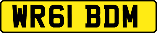 WR61BDM