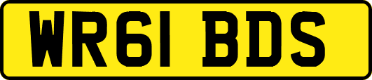 WR61BDS
