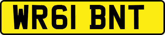 WR61BNT