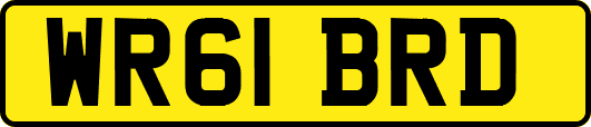 WR61BRD