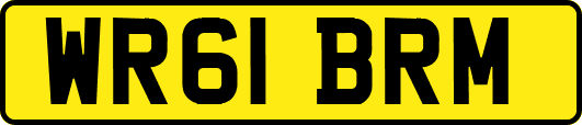WR61BRM