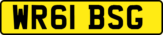 WR61BSG
