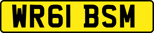 WR61BSM