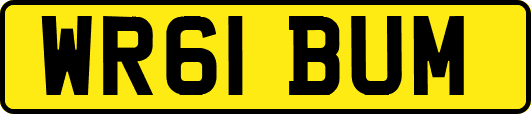 WR61BUM