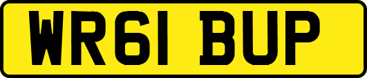 WR61BUP