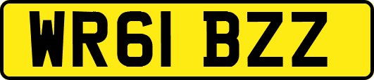 WR61BZZ