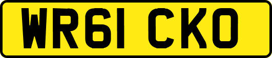 WR61CKO