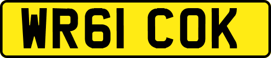 WR61COK