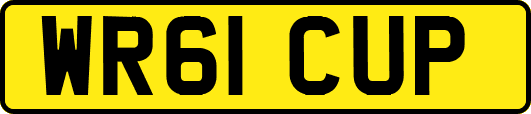 WR61CUP