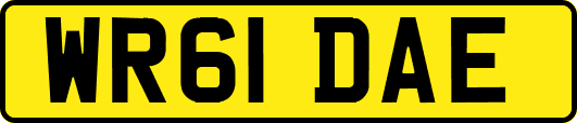 WR61DAE