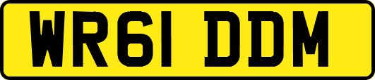 WR61DDM