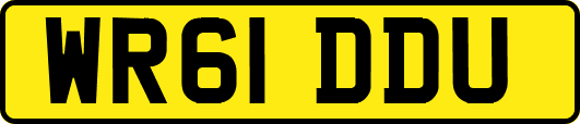 WR61DDU