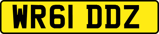 WR61DDZ
