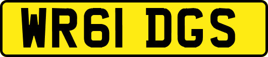 WR61DGS