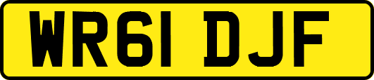 WR61DJF