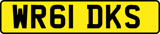 WR61DKS