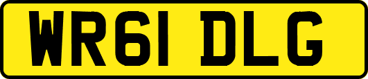 WR61DLG