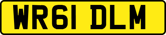 WR61DLM