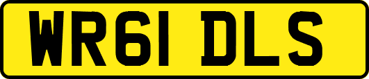 WR61DLS