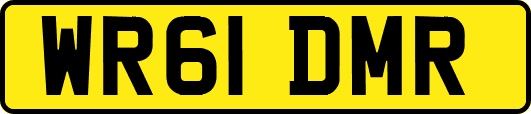 WR61DMR